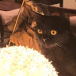 Meet your Posher, Shanthi